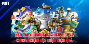 Kèo Tài Xỉu Bóng Đá Hiểu Biết Và Kinh Nghiệm Đặt Cược Hiệu Quả