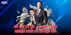 Soi Cầu Tài Xỉu – Bí Quyết, Kinh Nghiệm Đánh Tài Xỉu Hiệu Quả